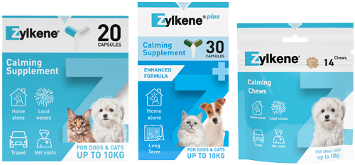 ZYLKENE PETIT CHIENS <10KG BOUCHES 14X1,5G