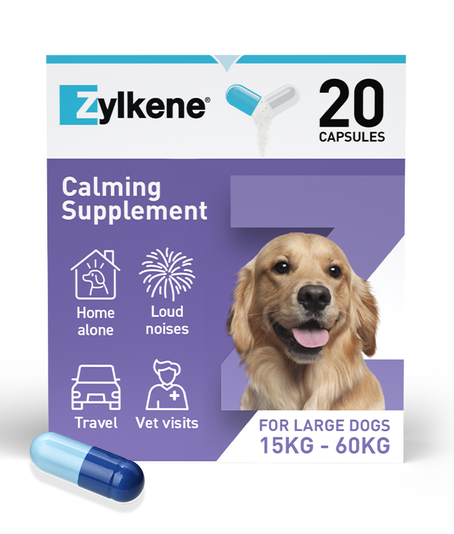 Zylkene Caps - Large Dog
