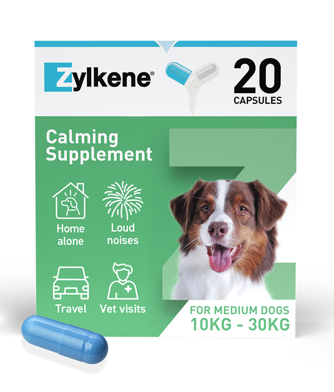 Zylkene Caps - Medium Dog
