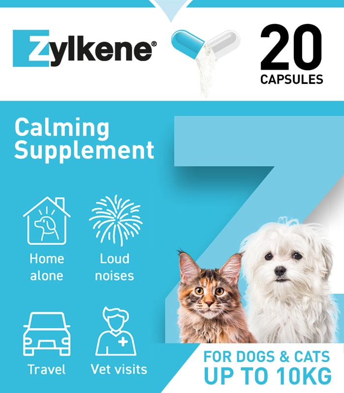 Front pack of Zylkene calming capsules for cats and dogs