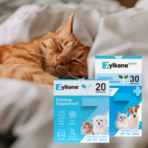 Zylkene Product Category Image - Cats (1)